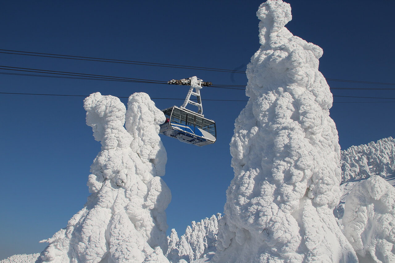 スキー場で必見の「樹氷」