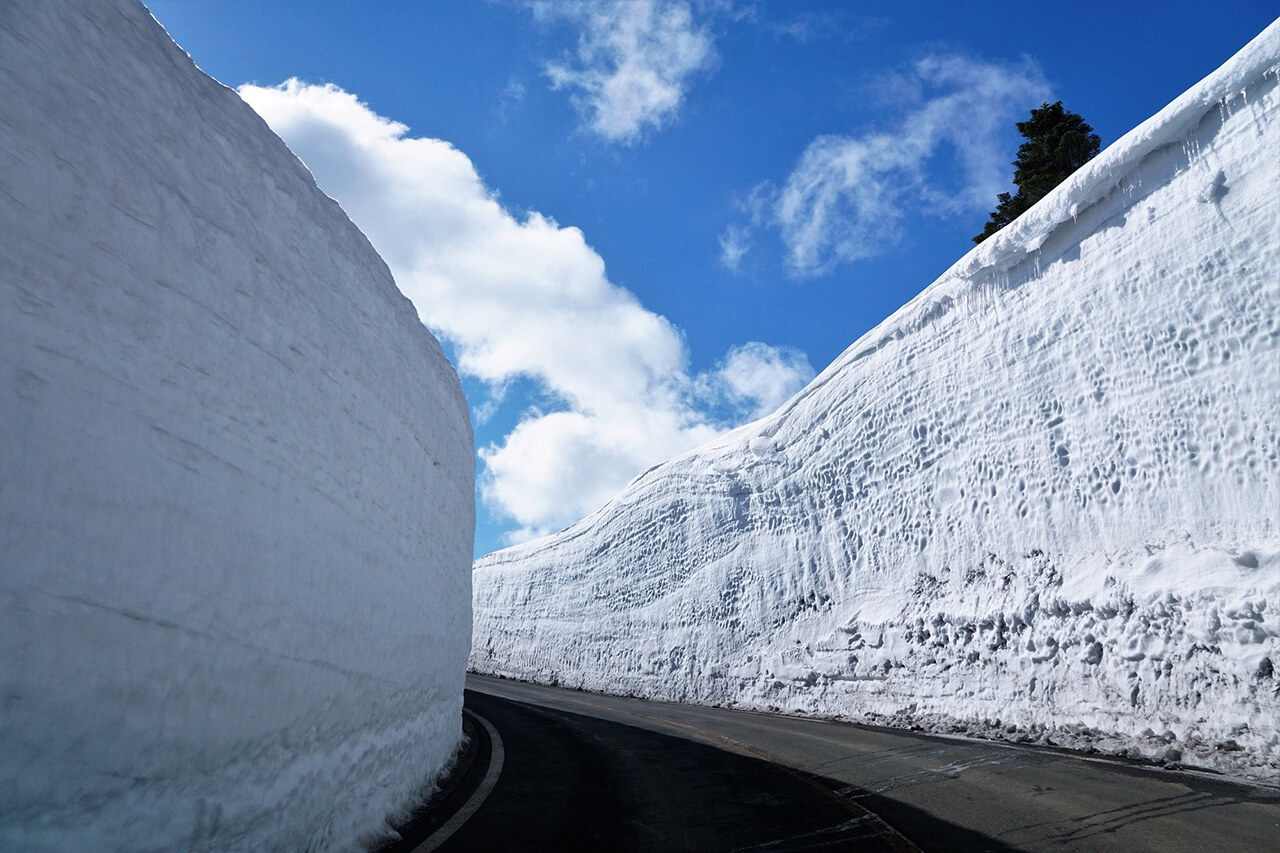 数メートルに達する雪の回廊
