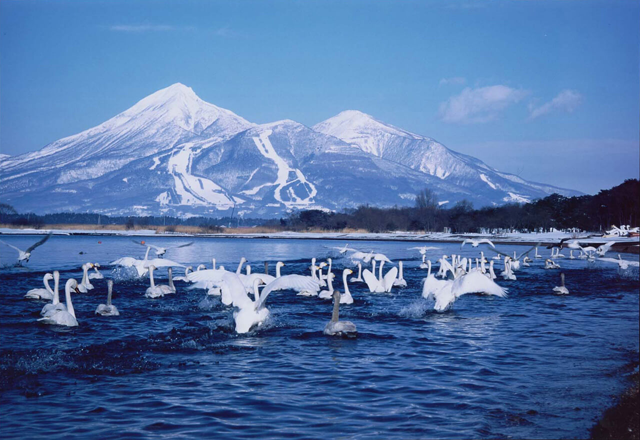 多彩な表情の猪苗代湖と会津富士