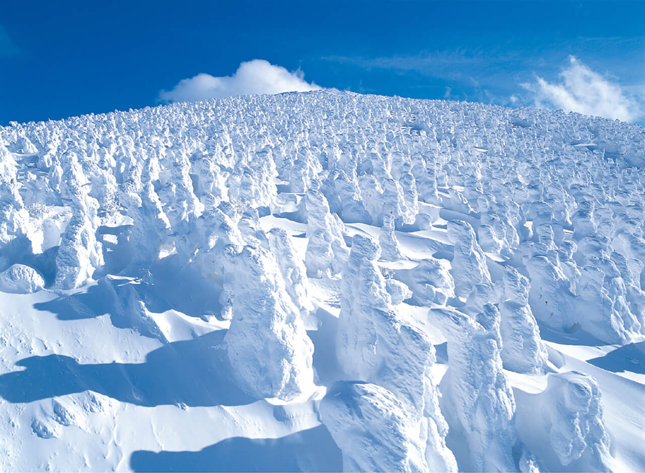 Discover Zao's unique icy trees