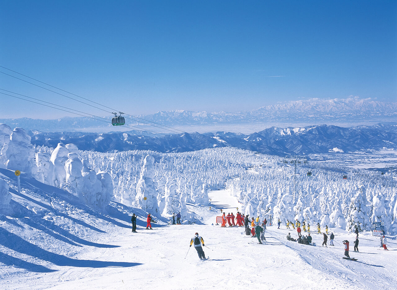 Ski among beautiful frozen trees