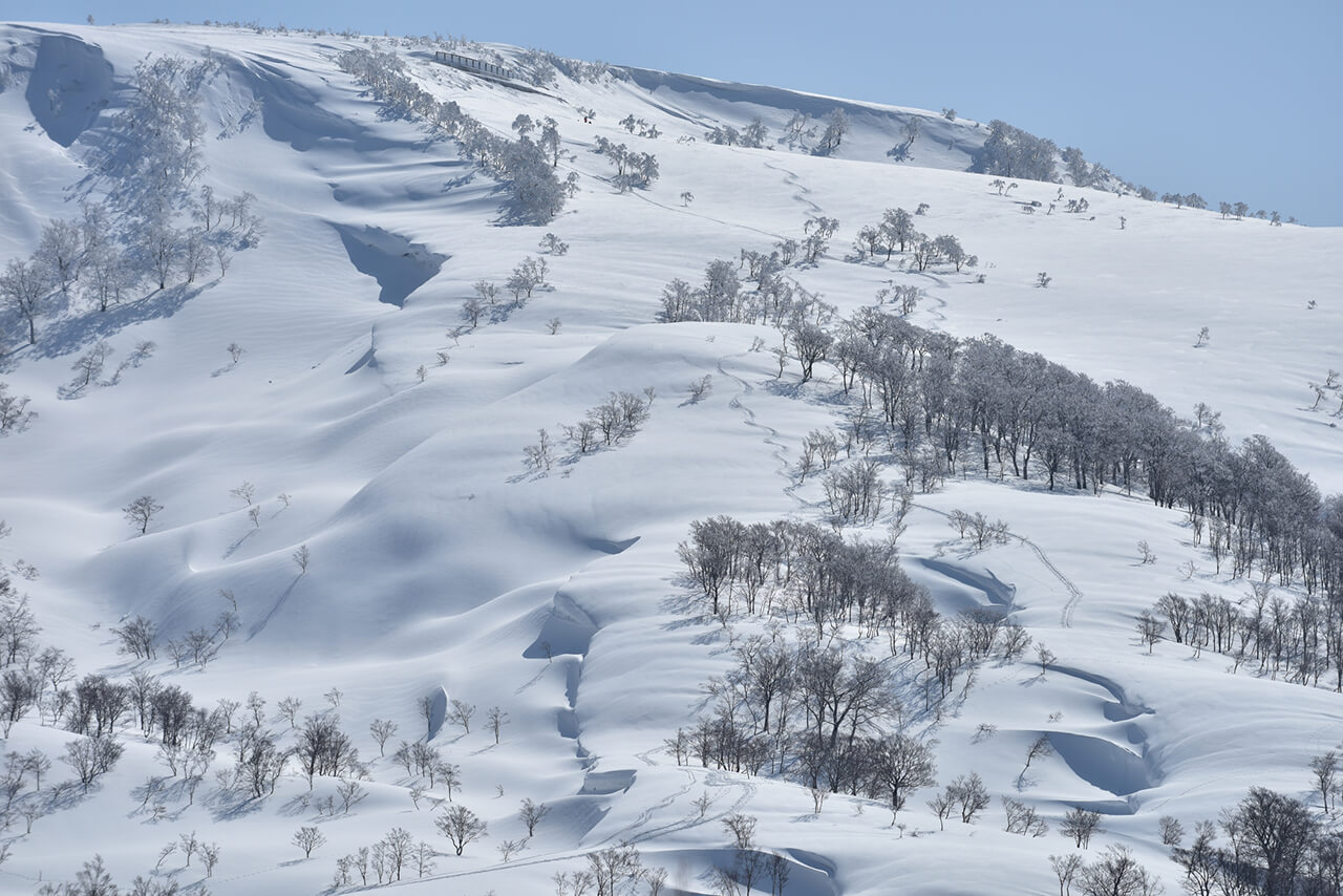 Ski in summer at Gassan 