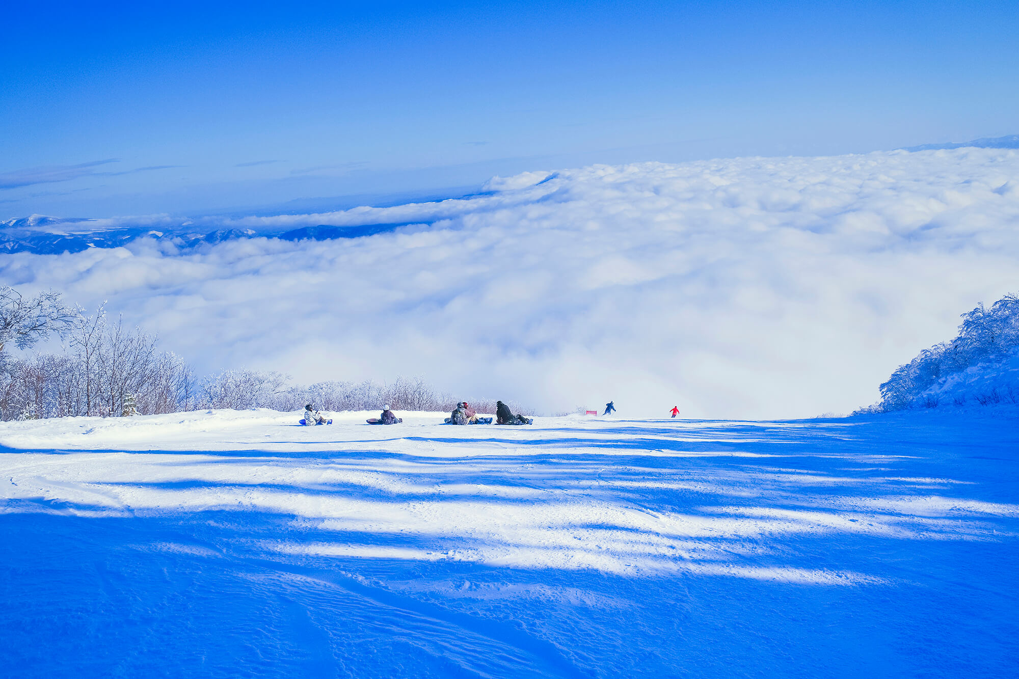 top-quality、超A high resolution、​masterpiece:1.3), Snow ski resort crowded  with many people, masutepiece, Midhair with bangs, Detailed moisturized  eyes - SeaArt AI