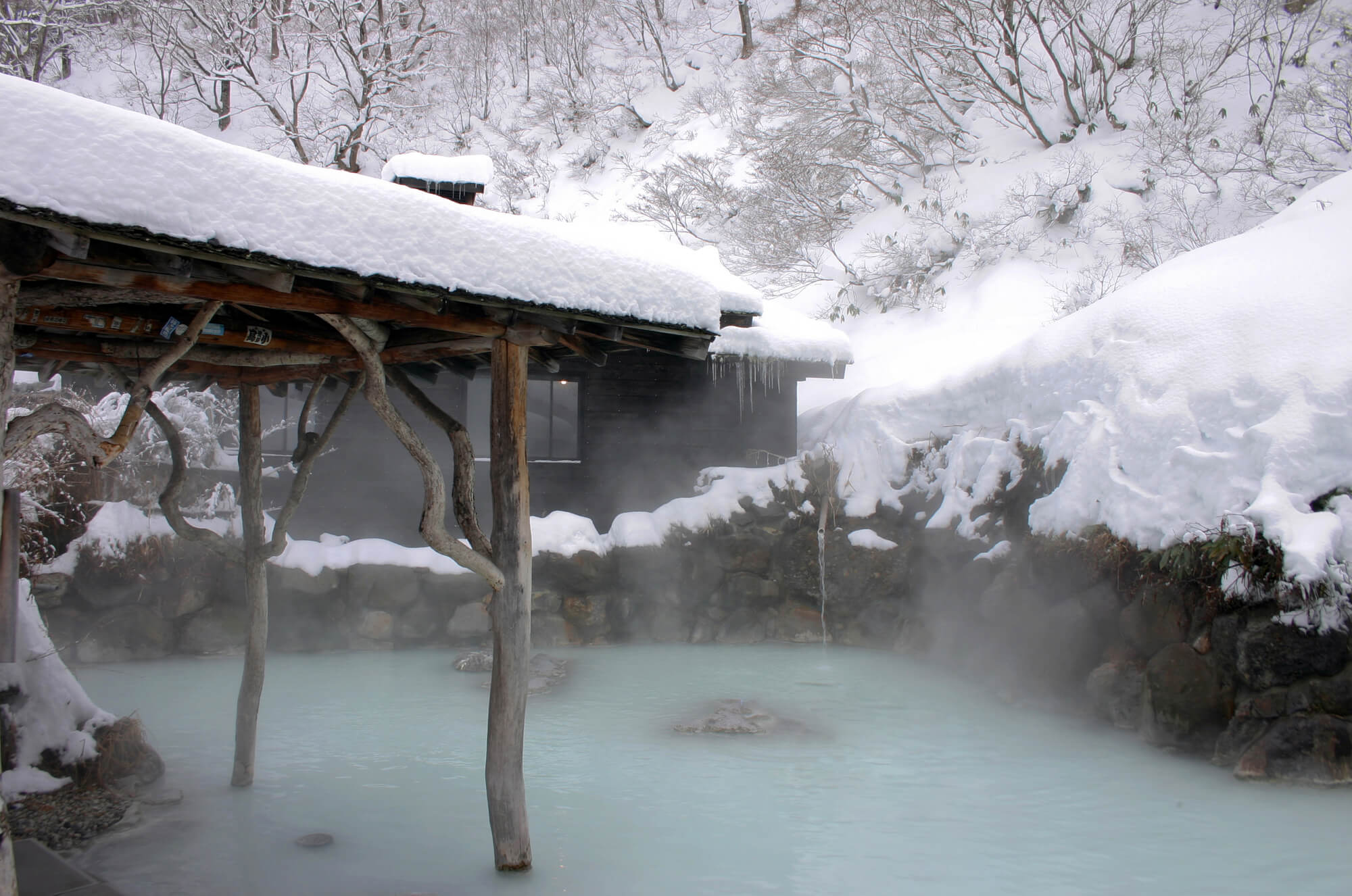 Lake Tazawa Area