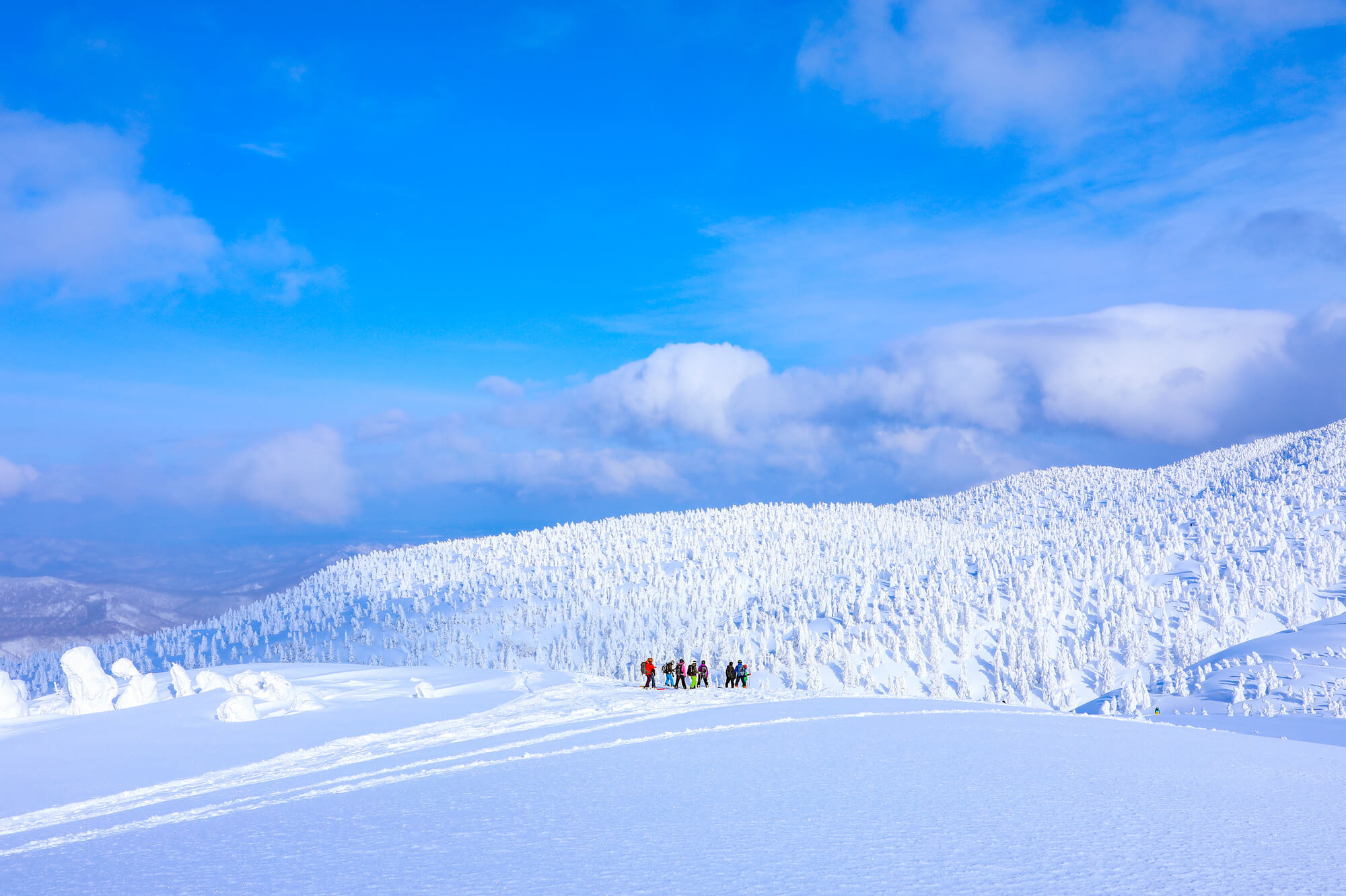 山 八甲田